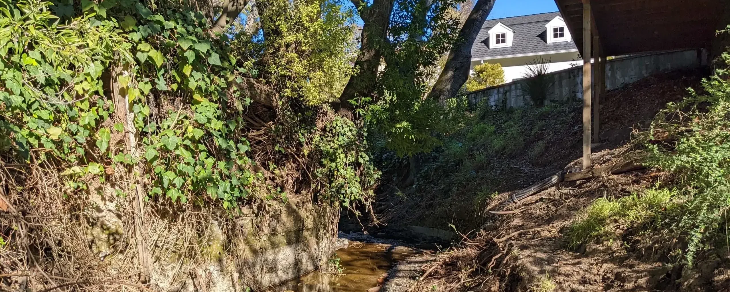 Stream Assessment and Permitting — Residential Improvements, Hillsborough